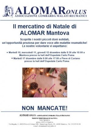 Ecco il  Mercatino natalizio di ALOMAR Mantova!